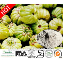 Venta caliente Garcinia Cambogia extracto de semillas de plantas mantener en forma 100% pura garcinia cambogia